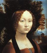 Portrait of Ginerva de'Benci Leonardo  Da Vinci